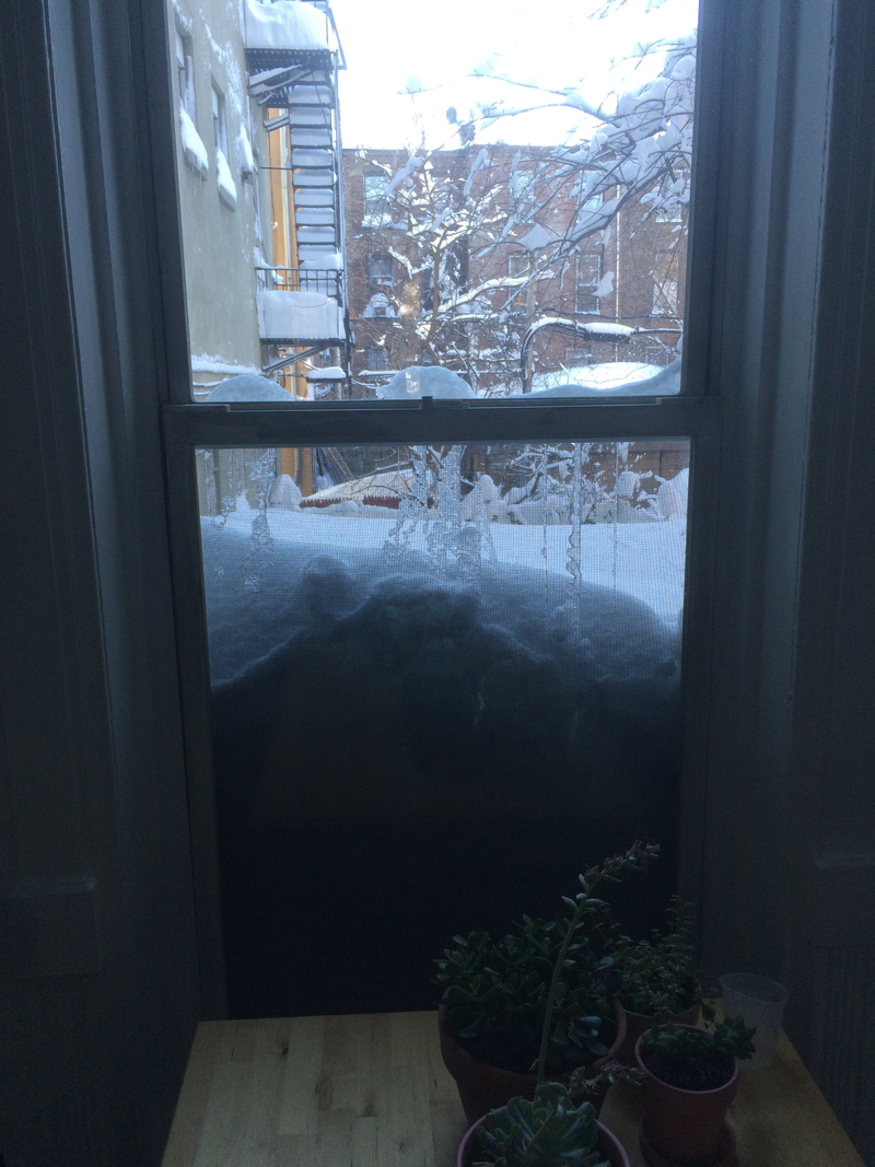 Illustration for article titled A Blizzard Grows in Brooklyn